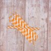 Orange Stripe Paper Straws