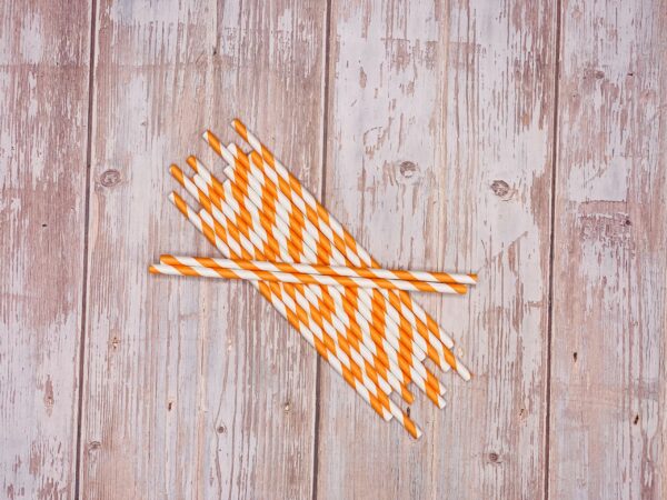 Orange Stripe Paper Straws