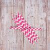 Pink Stripe Paper Straws