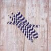 Purple Stripe Paper Straws