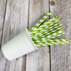 Green Stripe Paper Straws