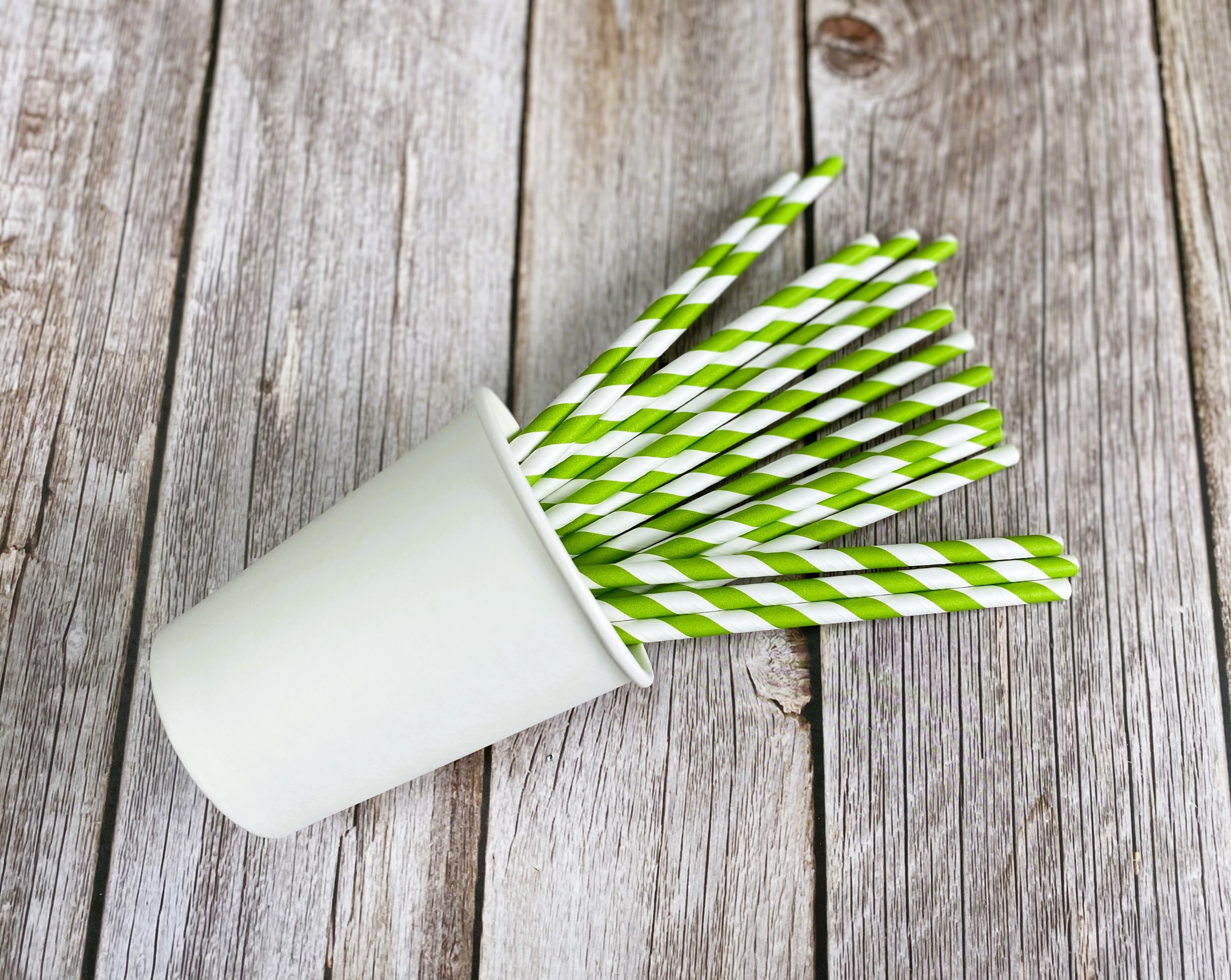 Green Stripe Paper Straws