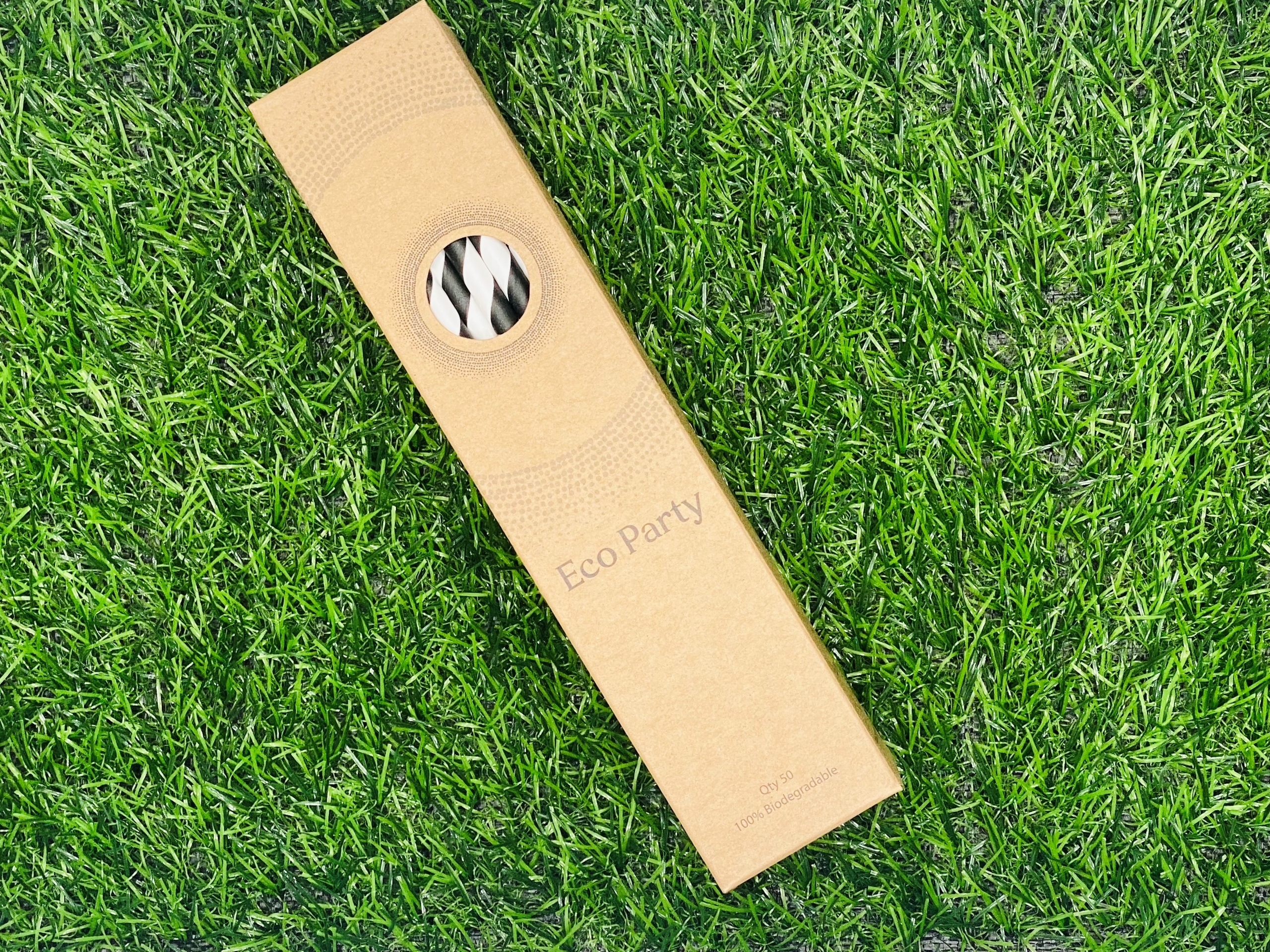 Black Stripe Paper Straws