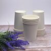 White 8oz Compostable Cup