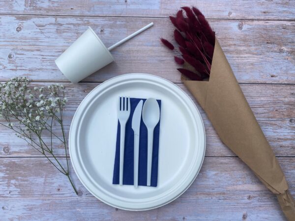 White Cornstarch (CPLA) Knife