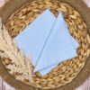 Blue Paper Napkins
