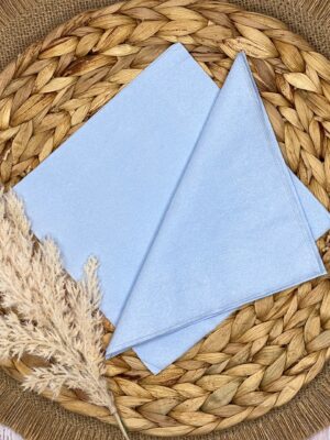 Blue Paper Napkins